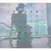 ヒメ日記 2026/04/11 21:51 投稿 宮瀬えりか シャトーペトラ