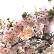 宮瀬えりか 満開🌸 シャトーペトラ