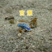 ヒメ日記 2026/05/07 20:20 投稿 宮瀬えりか シャトーペトラ
