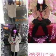 ヒメ日記 2025/03/13 17:46 投稿 アン 夢夢(ムム)