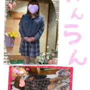 ヒメ日記 2025/12/14 11:51 投稿 アン 夢夢(ムム)