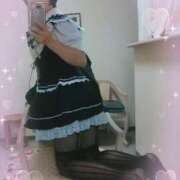 ヒメ日記 2025/02/02 11:56 投稿 ちなみ 夢夢(ムム)