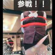 ヒメ日記 2025/02/13 11:01 投稿 ちなみ 夢夢(ムム)