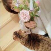 ヒメ日記 2025/05/03 09:33 投稿 ちなみ 夢夢(ムム)