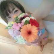 ヒメ日記 2025/06/28 12:29 投稿 ちなみ 夢夢(ムム)