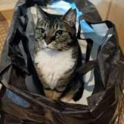 ヒメ日記 2025/07/06 12:25 投稿 ちなみ 夢夢(ムム)