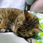 ヒメ日記 2025/08/04 00:00 投稿 ちなみ 夢夢(ムム)