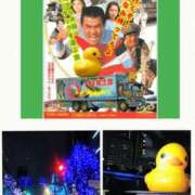 ヒメ日記 2025/11/30 15:26 投稿 ちなみ 夢夢(ムム)