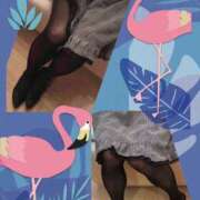 ヒメ日記 2025/06/04 11:21 投稿 ルミ 夢夢(ムム)