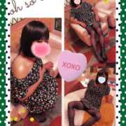 ヒメ日記 2025/11/15 11:42 投稿 ルミ 夢夢(ムム)