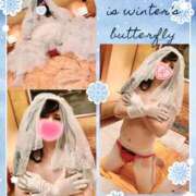 ヒメ日記 2026/01/14 16:12 投稿 ルミ 夢夢(ムム)