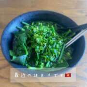 ヒメ日記 2025/02/20 13:45 投稿 夢宮 あのん☆理想の女性像 ジャックと豆の木