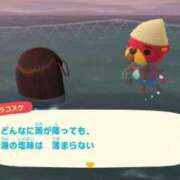 ヒメ日記 2025/03/03 08:07 投稿 夢宮 あのん☆理想の女性像 ジャックと豆の木