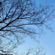 ヒメ日記 2025/03/26 15:07 投稿 夢宮 あのん☆理想の女性像 ジャックと豆の木