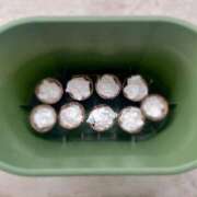 ヒメ日記 2025/04/09 19:07 投稿 夢宮 あのん☆理想の女性像 ジャックと豆の木