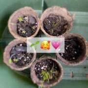 ヒメ日記 2025/04/11 08:10 投稿 夢宮 あのん☆理想の女性像 ジャックと豆の木