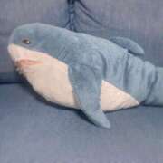 ヒメ日記 2025/04/14 08:01 投稿 夢宮 あのん☆理想の女性像 ジャックと豆の木