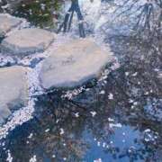 ヒメ日記 2025/04/17 07:36 投稿 夢宮 あのん☆理想の女性像 ジャックと豆の木