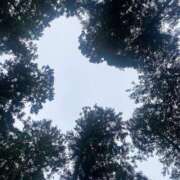 ヒメ日記 2025/05/05 17:05 投稿 夢宮 あのん☆理想の女性像 ジャックと豆の木