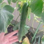 ヒメ日記 2025/06/25 15:23 投稿 夢宮 あのん☆理想の女性像 ジャックと豆の木