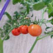 ヒメ日記 2025/07/18 08:09 投稿 夢宮 あのん☆理想の女性像 ジャックと豆の木