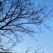 ヒメ日記 2025/08/02 14:23 投稿 夢宮 あのん☆理想の女性像 ジャックと豆の木