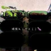 ヒメ日記 2025/08/28 16:00 投稿 夢宮 あのん☆理想の女性像 ジャックと豆の木