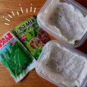 ヒメ日記 2025/09/04 14:58 投稿 夢宮 あのん☆理想の女性像 ジャックと豆の木