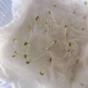 ヒメ日記 2025/09/08 11:58 投稿 夢宮 あのん☆理想の女性像 ジャックと豆の木