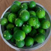 ヒメ日記 2025/09/17 13:38 投稿 夢宮 あのん☆理想の女性像 ジャックと豆の木