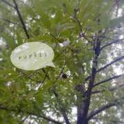 ヒメ日記 2025/09/25 19:02 投稿 夢宮 あのん☆理想の女性像 ジャックと豆の木