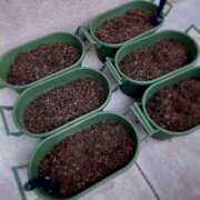 ヒメ日記 2025/10/25 18:02 投稿 夢宮 あのん☆理想の女性像 ジャックと豆の木