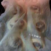 ヒメ日記 2025/10/28 10:02 投稿 夢宮 あのん☆理想の女性像 ジャックと豆の木