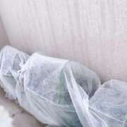 夢宮 あのん☆理想の女性像 防寒対策🥬 ジャックと豆の木