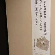 ヒメ日記 2026/03/18 18:23 投稿 夢宮 あのん☆理想の女性像 ジャックと豆の木