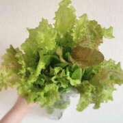 ヒメ日記 2026/04/20 09:01 投稿 夢宮 あのん☆理想の女性像 ジャックと豆の木