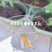 ヒメ日記 2026/05/20 15:01 投稿 夢宮 あのん☆理想の女性像 ジャックと豆の木