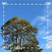 ヒメ日記 2024/12/20 12:32 投稿 凪（なぎ） マリン千葉店