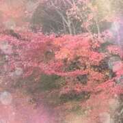 ヒメ日記 2024/12/22 05:52 投稿 凪（なぎ） マリン千葉店