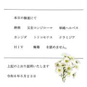 ヒメ日記 2024/05/23 10:20 投稿 杏樹 シャトーペトラ