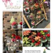 ヒメ日記 2024/12/15 17:26 投稿 杏樹 シャトーペトラ