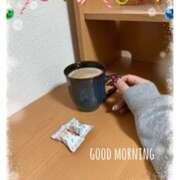 ヒメ日記 2024/12/19 08:32 投稿 杏樹 シャトーペトラ