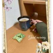 ヒメ日記 2025/01/06 07:26 投稿 杏樹 シャトーペトラ