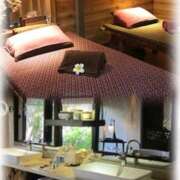 ヒメ日記 2025/01/28 00:00 投稿 杏樹 シャトーペトラ