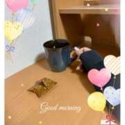 ヒメ日記 2025/01/31 07:10 投稿 杏樹 シャトーペトラ