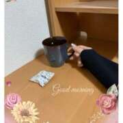 ヒメ日記 2025/02/03 07:24 投稿 杏樹 シャトーペトラ