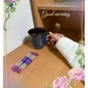 ヒメ日記 2025/02/04 07:05 投稿 杏樹 シャトーペトラ