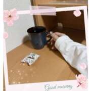 ヒメ日記 2025/02/08 09:43 投稿 杏樹 シャトーペトラ