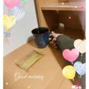 ヒメ日記 2025/02/12 10:59 投稿 杏樹 シャトーペトラ