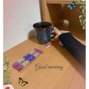 ヒメ日記 2025/02/18 09:03 投稿 杏樹 シャトーペトラ